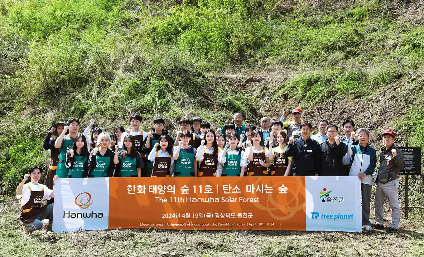 Over 538,000 trees have been planted across nearly a dozen locations through Hanwha Solar Forest's reforestation efforts.