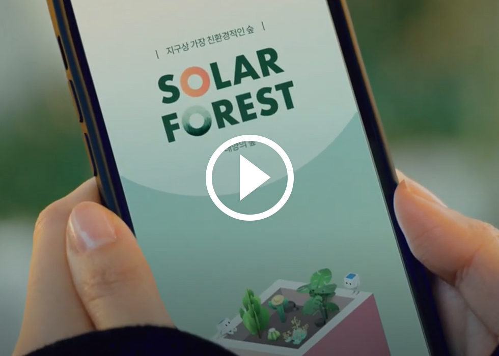10 Years of Hanwha Solar Forest : Carbon-Neutral Forests to Combat Climate Change