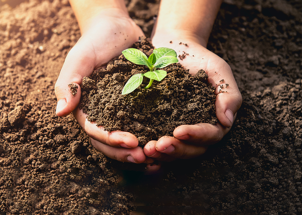Better Soil, Better Life: 5 Ways Companiesand Communities Can Celebrate World Soil Day