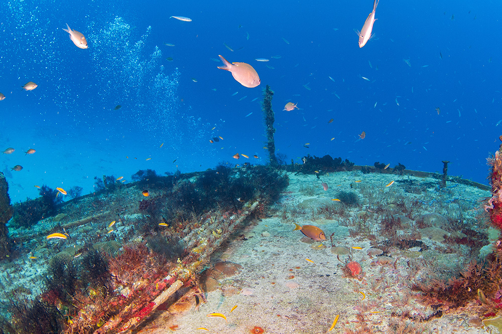 Submarine cables under the ocean 